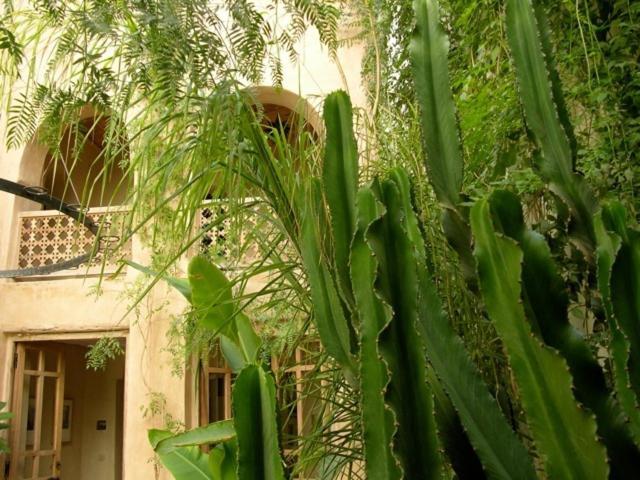 Dar Zahia Hotel Taroudant Exterior photo