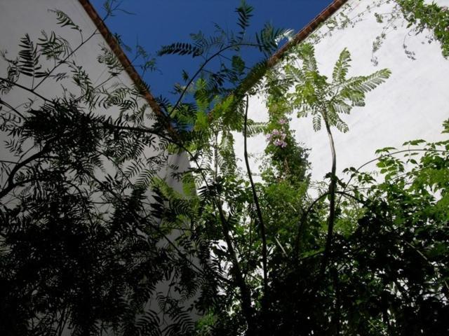 Dar Zahia Hotel Taroudant Exterior photo
